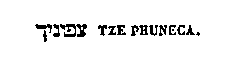 [Hebrew Text]