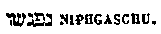 [Hebrew Text]