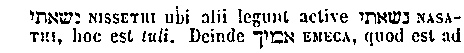 [Hebrew Text]