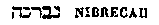 [Hebrew Text]