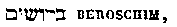 [Hebrew text]