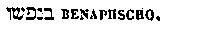 [Hebrew Text]