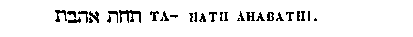 [Hebrew Text]