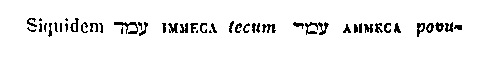 [Hebrew Text]