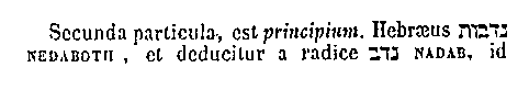 [Hebrew Text]