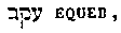 [Hebrew Text]