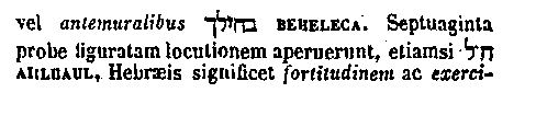 [Hebrew Text]