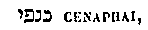 [Hebrew Text]