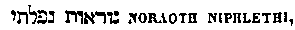 [Hebrew Text]