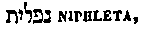 [Hebrew Text]