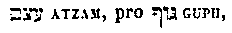 [Hebrew Text]