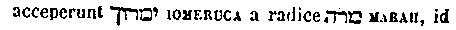 [Hebrew Text]
