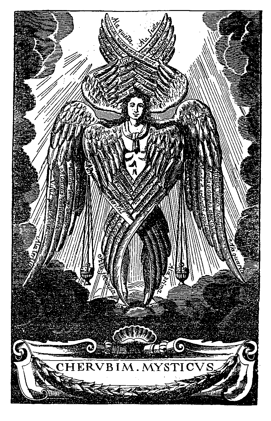 [Cherubim mysticus]